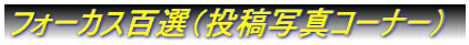 tH[JXSIieʐ^R[i[j