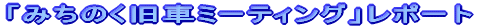 û݂ԃ~[eBOv|[g