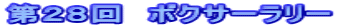 第28回 ボクサーラリー