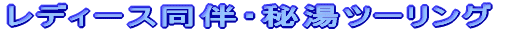 fB[XE鋫c[O